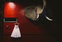 abby & trent | nashville tn wedding photographers Smitten & Hooked-3